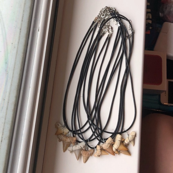 NEW  Shark Tooth Leather Choker/Necklace - Picture 7 of 8